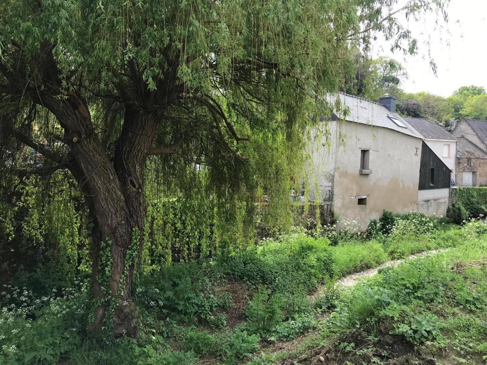 Le Moulin De La Voute La Roche-Bernard Exterior foto